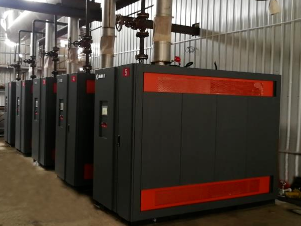 蒸汽发生器二联供发电与蒸汽系统