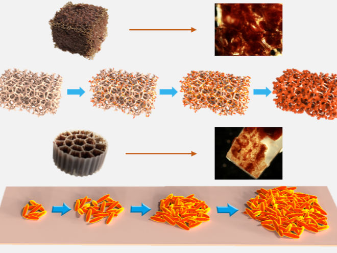 高氨氮废水厌氧氨氧化新型高效低碳脱氮技术