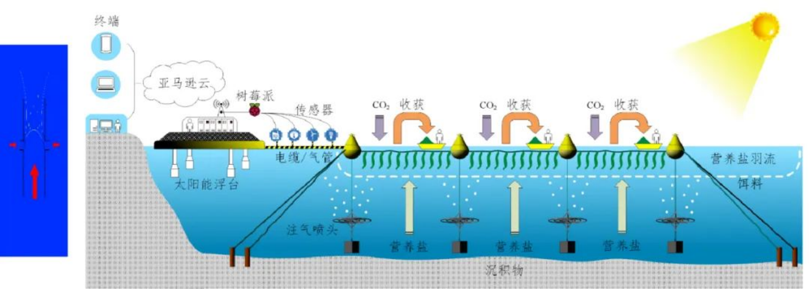 1753084403571.png 1753084403571.png