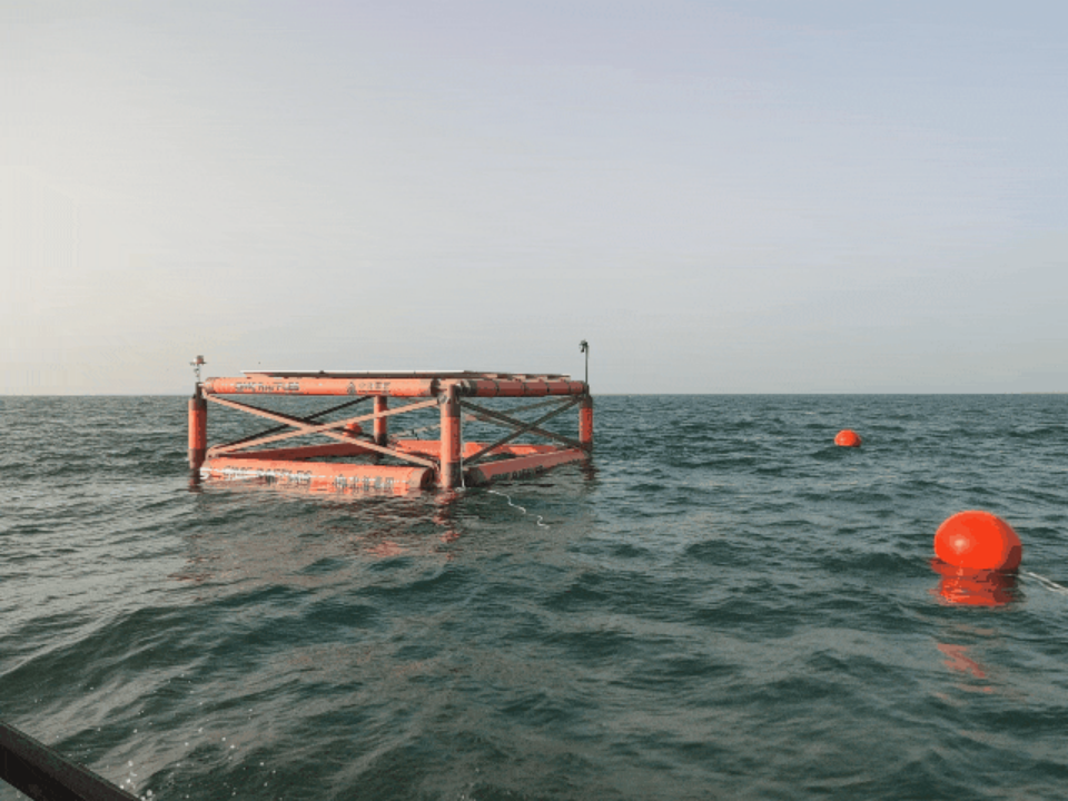 1753166947565.png 1753166947565.png